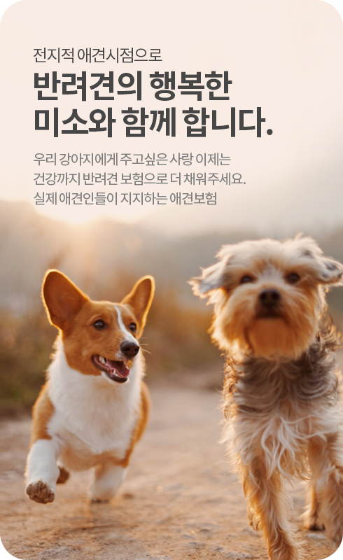 전지적 애견시점으로 반려견의 행복한 미소와 함께 합니다.